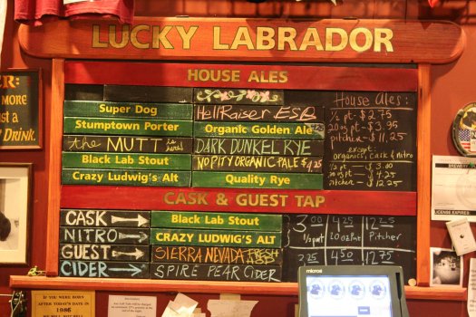 Lucky Labrador