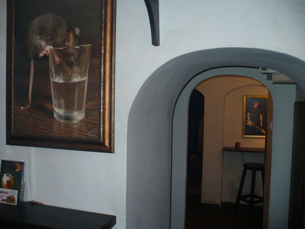 Pivogalerie